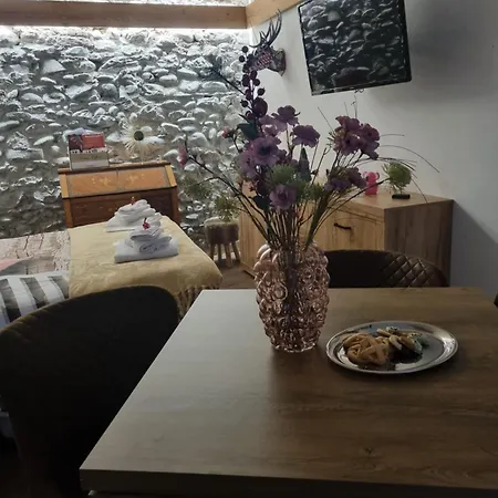 Apartment Casa Sofia *